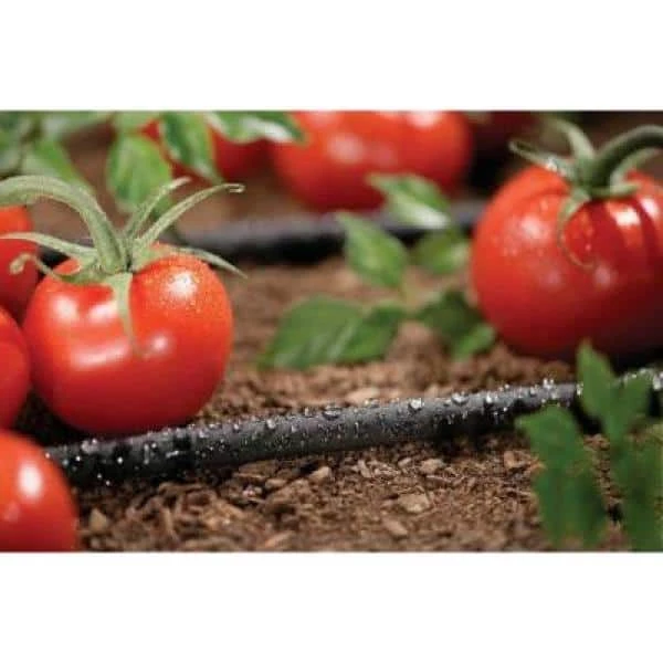 Orbit 1/4 in. x 50 ft. Porous Soaker Tubing 2 Orbit 1/4 in. x 50 ft. Porous Soaker Tubing - Image 2