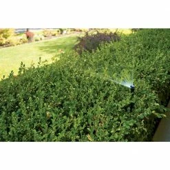 Orbit Aluminum Adjustable Height Pressure Regulated Pop-Up Shrub Riser Sprinkler 16 in. - 30 in. with 15 ft. Adjustable Nozzle -Spring Hill Nurseries Shop greens orbit fixed head sprinklers 37335 a0 1000