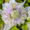 Spring Hill Nurseries 4 in. Pot White and Lavender Flowers Moonglow Clematis Vine Live Potted Perennial Plant (1-Pack)