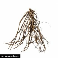 Spring Hill Nurseries Orange Perfection Tall Phlox, Orange Flowering Perennial Live Bareroot Plant (5-Pack) -Spring Hill Nurseries Shop spring hill nurseries perennials 88515 4f 1000